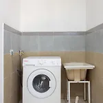 Live La Jaca Rinconcito De Chicha * Arico